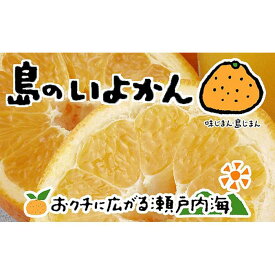 【ふるさと納税】 【2026年1月下旬から発送】 伊予柑 4kg いよかん 愛媛 中島産 | 愛媛 みかん 先行予約 蜜柑 柑橘 果物 くだもの フルーツ お取り寄せ グルメ 期間限定 数量限定 人気 おすすめ 愛媛県 松山市