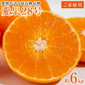 【ふるさと納税】 【先行予約】【2025年12月上旬から順次発送】愛媛が誇る最高級柑橘【愛媛果試第28号】ご家庭用6kg(30個前後)