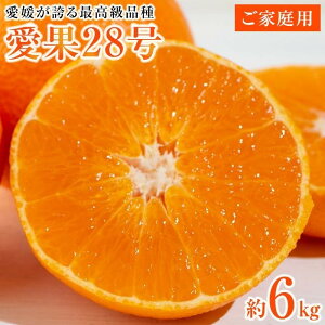 yӂ邳Ɣ[Łz ys\zy2025N12{珇zQւōkyQʎ28zƒp6kg(30O)