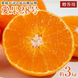 yӂ邳Ɣ[Łz ys\zy2024N12{珇z p ϔ 3kg 10-15O | 28 ܂ǂ k ݂ ʕ  t[c   lC  