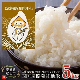 【ふるさと納税】 【令和8年度産受付】米 ひめの凜 5kg 新米 | 四国遍路発祥地米 米 お米 精米 白米 ブランド米 送料無料 愛媛県 松山市
