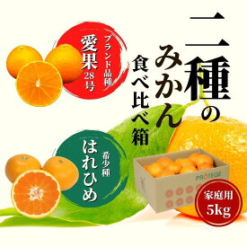 【ふるさと納税】【早期予約受付中！2024年12月～順次発送】二種のみかん食べ比べ箱 愛果28号・はれひめ 家庭用 約5kg | 愛果28号 まどんな 柑橘 みかん 果物 くだもの フルーツ おすすめ 高級 人気 お取り寄せ グルメ ギフト 期間限定 数量限定 ご当地 愛媛県 松山市