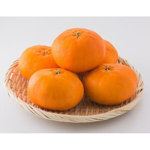 yӂ邳Ɣ[Łz y1{z RsY Õ Gi@5`6 Y Q݂ Q~J ݂ ~J mikan  k t[c ʕ   Yn 