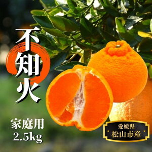 yӂ邳Ɣ[Łz ysm΁zƒp 2.5kg 2026N24