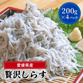 【ふるさと納税】 愛媛県産 大容量 贅沢 しらす 800g ( 200g × 4パック ) | 約12人前 しらす丼 丼ぶり 魚 さかな ご飯 ごはん 炒飯 チャーハン パスタ スパゲティ サラダ 卵焼き お取り寄せ グルメ 人気 おすすめ 愛媛県 松山市