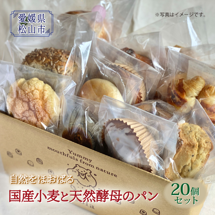 自分たちが食べたい素材で丁寧につくりました 買物 日本全国 送料無料 ふるさと納税 F21Q-874 国産小麦と天然酵母のパンセット