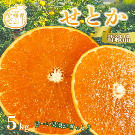 【ふるさと納税】せとか 特級品 5kg 果物 フルーツ 柑橘 みかん ミカン 愛媛 旬 F21Q-980