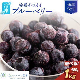 【ふるさと納税】森のともだち農園　冷凍ブルーベリー 選べる容量＜450g(150g×3P)/1kg＞【配送不可地域：離島】【V003270】国産冷凍フルーツ 冷凍フルーツ 冷凍果物 冷凍果実 ブルーベリー 国産 無添加 冷凍ブルーベリーふるさと納税 デザート