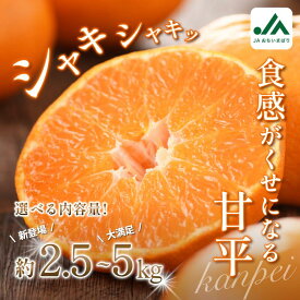 【ふるさと納税】【先行予約】＼毎年大人気！／ 甘平 （家庭用）レギュラー箱 約2.5～5kg 【KC00780】 ふるさと納税 愛媛県 今治市 先行予約 今治産 みかん 甘平みかん 大人気 フルーツ 甘い 柑橘 果物 JA 越智今治 愛媛ミカン ふるさと納税愛媛県 果物ふるさと納税