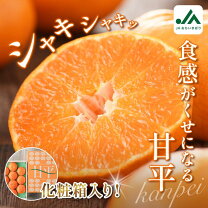 楽天市場】甘平 2lの通販