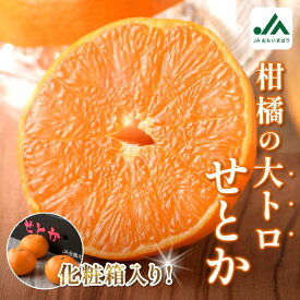 【ふるさと納税】【先行予約】＼毎年売切れ！／ せとか （贈答用） 化粧箱 3L～L 10～15玉【KC00630】 ふるさと納税 愛媛県 今治市 先行予約 今治産 大人気 贈答用 みかん フルーツ 甘い 柑橘 果物 せとかみかん 愛媛ミカン ふるさと納税愛媛県 果物ふるさと納税