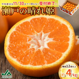 【ふるさと納税】【先行予約】【限定商品】瀬戸の晴れ姫 4kg【KC01230】愛媛県産 愛媛県 期間限定 はれひめ 果物ふるさと 愛媛みかん 甘いみかん 果物 故郷納税フルーツ ふるさと納税ふるーつ ふるさと納税ミカン ふるさと納税愛媛みかん みかん箱買い JA 【毎年売切れ】