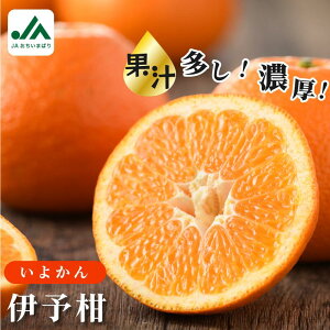 yӂ邳Ɣ[Łzys\z_ԏi^ɗ\ 10kg yKB02080zK Ղ 10kg Ԍ Y lCi Yi 悩 CJ ʕMtg k   QY ݂