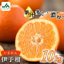 【ふるさと納税】【先行予約】＼定番商品／伊予柑 10kg 【KB02080】2027年1月初旬～2月末に順次発送予定 メガ盛り たっぷり 10kg 期間限定 国産 人気商品 いよかん 果物ギフト おいしい 美味しい 愛媛産 みかん 柑橘 フルーツ 果物 甘い ふるさと フルーツ JA【毎年売切れ】