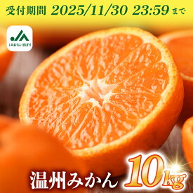 【ふるさと納税】【先行予約】＼迷ったらコレ！／温州みかん たっぷり 10kg 期間限定 ふるさと納税ミカン 温州ミカン 甘いみかん 愛媛みかん 蜜柑 果物 果物ふるさと 故郷納税フルーツ ふるさと納税フルーツ 愛媛ふるさと納税 愛媛県ふるさと納税 JA【KC00760】