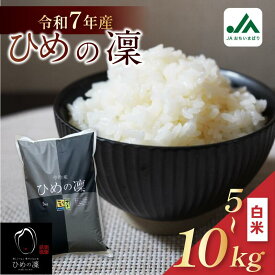 【ふるさと納税】【令和7年産】【2025年11月10日から順次発送】今治産 米「ひめの凜」 5kg・10kg【VB01580】こだわり製法 国産 白米 精米 お米 コメ ギフト 産地直送米 グルメ 家庭応援 ご当地 特産品 JA 新米