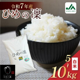 【ふるさと納税】【令和7年産】【2025年11月10日から順次発送】今治産 米「ひめの凜」 5kg・10kg【VB01580】こだわり製法 国産 白米 精米 お米 コメ ギフト 産地直送米 グルメ 家庭応援 ご当地 特産品 JA 新米
