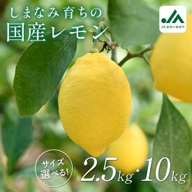 【ふるさと納税】【先行予約】レモン 約2.5kg・10kg【KC00790】2026年12月初旬〜2027年2月末に順次発送予定 たっぷり 大容量 ふるさと納税 愛媛県産 今治市 先行予約 しまなみ レモン 名産品 人気商品 柑橘 フルーツ 料理 JA 檸檬 れもん