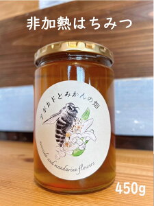 yӂ邳Ɣ[Łzyʌz݂͂450g 1r Kura-Kura_[V001330]