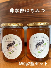 【ふるさと納税】【数量限定】はちみつ450g 2瓶セット Kura-Kura農園[V001340]
