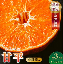 楽天市場】甘平 2lの通販