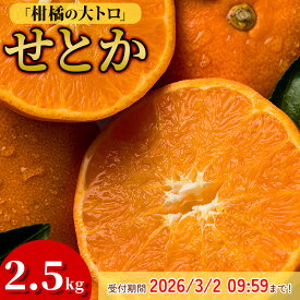 【ふるさと納税】＼農家を応援キャンペーン実施中／ 【数量限定】愛媛県今治産 ホリ田ヤのせとか 2.5kg 高級 みかん 愛媛みかん setoka せとかふるさと納税 柑橘類 愛媛ミカン 愛媛みかん 果物 フルーツ 甘い 高級みかん ふるさと納税ミカン 愛媛ふるさと納税 【K002420】