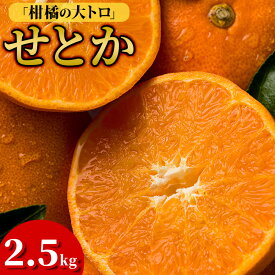 【ふるさと納税】【先行予約】【数量限定】愛媛県今治産 ホリ田ヤのせとか 2.5kg 高級 みかん 愛媛みかん setoka せとかふるさと納税 柑橘類 愛媛ミカン 愛媛みかん 果物 フルーツ 甘い 高級みかん ふるさと納税ミカン 愛媛ふるさと納税 【K002420】