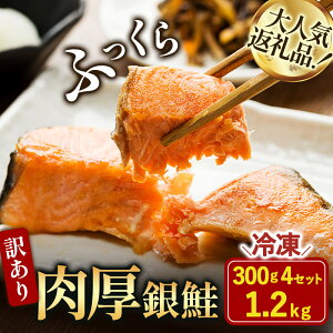 yӂ邳Ɣ[Łz󂠂艖؂g 1.2kgi300g×4܁jyV003250zyzsnFz   T[ Ⓚ  CN  LO ς Z ȒP s Q ӂ邳