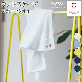 【ふるさと納税】今治タオル 速乾 ランドスケープ スポーツタオル 1枚 選べる6色 約35×123cm 高吸水 ふわふわ 乾きやすいタオル 綿100% シンプル 無地 首巻きタオル ロングタオル メンズ レディース 渡辺パイル織物 愛媛ふるさと納税 愛媛県ふるさと納税【IA05210】