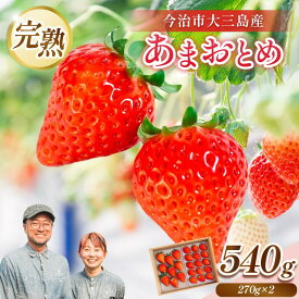 【ふるさと納税】＼甘～い完熟いちご／ 井上苺園 あまおとめ（270g×2パック）【V002540】【配送不可地域：離島】いちご イチゴ 苺 高級 果物 フルーツ くだもの ふるーつ 高級イチゴ 甘いいちご 甘いイチゴ ストロベリー 完熟 朝採れ 旬 期間限定 しまなみ海道 大三島