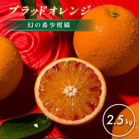 【ふるさと納税】 【数量限定】愛媛県今治産 ホリ田ヤのブラッドオレンジ 2.5kg 高級 みかん 柑橘類 愛媛ミカン 愛媛みかん 蜜柑 果物 甘い 高級みかん ふるさと納税ミカン ふるさと納税ふるーつ 愛媛ふるさと納税 【K002440】