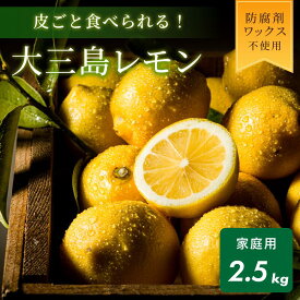 【ふるさと納税】【先行予約】【数量限定】愛媛県今治産 ホリ田ヤの皮ごと食べられる島育ちレモン 2.5kg 安心 安全 国産 愛媛 瀬戸内レモン 大三島 皮ごと食べられるレモン 健康 生搾り レモンサワー レモン 檸檬 愛媛ふるさと納税 【K002450】