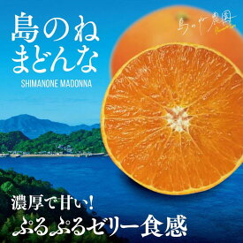 【ふるさと納税】島のね農園 まどんな(4kg)【K001620】 まどんな マドンナ 愛媛みかん 高級 美味しい 高級果物 甘いミカン 瀬戸内 愛媛 みかん ミカン フルーツ 高級フルーツ 国産 甘い お土産 お取り寄せ 果物 フルーツ 今治市
