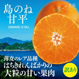 【ふるさと納税】【先行予約】【訳あり】 島のね農園の甘平 (4kg)【KB01600】 ふるさと納税フルーツ みかん 果物 フルーツ 甘平 かんぺい 愛媛みかん 高級 高級果物 甘平みかん かんぺいみかん 甘いミカン 瀬戸内 愛媛 訳ありみかん 訳ありミカン 訳アリ果物 国産 甘い