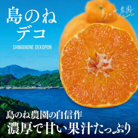 【ふるさと納税】【先行予約】島のね農園のプレミアム不知火 島のねデコ(4kg)【KB01590】