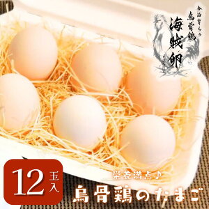 yӂ邳Ɣ[ŁzCiG{j12yVB01500zY QY Q Ђ  ʎq  N e ڋʏĂ Ă ʎqĂ  Ă ܂Ă  ͂ 