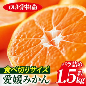 【ふるさと納税】愛媛みかんバラ詰め（1.5kg）【K003670K1】 愛媛みかん 温州みかん 果物ふるさと 愛媛 温州 みかん 高級 柑橘 柑橘類 愛媛県 果物 フルーツ 甘い 乃万青果 のま果樹園 愛媛県ふるさと納税