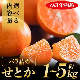 【ふるさと納税】【先行予約】せとか（1〜5kg）【K003710】 愛媛 せとか みかん 1kg 2kg 3kg 5kg 家庭用 愛媛県 高級 柑橘 柑橘類 果物 フルーツ 甘い 乃万青果 のま果樹園 愛媛のま果樹園 美味しいみかん 甘いみかん みかん果物 愛媛ふるさと納税 ふるさと納税愛媛県