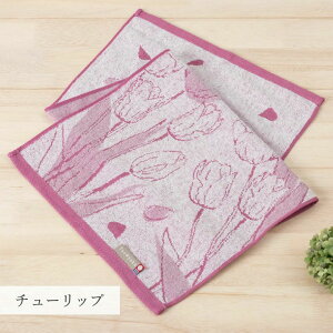 yӂ邳Ɣ[Łzi^IuhFijTaoyaka tFCX^I F4Zbg Iׂ6FiLX^I[u^|s[^`[bv^~U^񂲁 yI002900z ^I