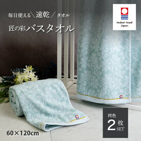 【ふるさと納税】（今治タオルブランド認定品）匠の彩 バスタオル 同色2枚セット（ブルー） 【I002910】 今治タオル タオル 今治バスタオル ギフト ギフトセット お祝い 贈り物 日本製 プレーリードッグ