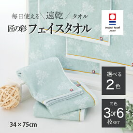 【ふるさと納税】 今治タオル 匠の彩 フェイスタオル 同色3・6枚セット ＜ベージュ／ブルー＞【I002900】 今治タオル タオル 今治フェイスタオル ギフト ギフトセット お祝い 贈り物 日本製 プレーリードッグ