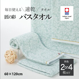 【ふるさと納税】 今治タオル 匠の彩 バスタオル 同色2・4枚セット ＜ブルー＞ 【I002910】タオル 今治バスタオル ギフト ギフトセット お祝い 贈り物 日本製 プレーリードッグ
