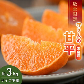 【ふるさと納税】【先行予約】【数量限定】守り人の甘平 3kg（家庭用）【K003070】2月上旬～2月下旬に順次発送予定 かんぺい 愛媛 甘平 みかん 愛媛県 果物 フルーツ みかん 3kg 甘い 高級 柑橘類 守り人