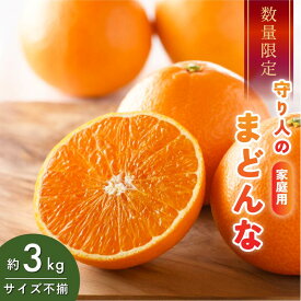 【ふるさと納税】【先行予約】【数量限定】守り人のまどんな 3kg（家庭用）【K003060】12月上旬～12月下旬に順次発送予定 まどんな マドンナみかん 果物ふるさと 愛媛 マドンナ みかん 高級 柑橘 柑橘類 愛媛県 果物 フルーツ 年内発送 甘い 守り人 愛媛県ふるさと納税