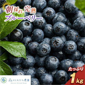 【ふるさと納税】《レビューCP実施中！》【先行予約】今治産ブルーベリー「媛ベリー」1kg 国産 オーガニック 甘い 生食 スムージー ジュース 旬 季節 【配送不可地域：離島】【LC00880】