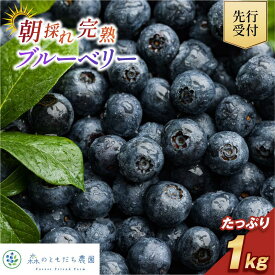 【ふるさと納税】【先行予約】今治産ブルーベリー「媛ベリー」1kg 2026年7月下旬～8月下旬発送予定【LC00880】ふるさと納税ブルーベリー オーガニックブルーベリー 国産ブルーベリー 国産 オーガニック 甘い 生食 旬 【配送不可地域：離島】
