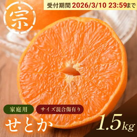 【ふるさと納税】【先行予約】せとか（家庭用）約1.5kg【K003570K1.5】2026年2月中旬～3月下旬に順次発送予定 愛媛県 今治市 先行予約 今治産 宗方 せとか みかん フルーツ 甘い 柑橘 果物 愛媛みかん ふるさと納税