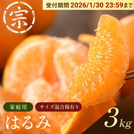 【ふるさと納税】【先行予約】はるみ（家庭用）約3kg【K003580K】2026年1月中旬～2月上旬に順次発送予定 愛媛県 今治市 先行予約 今治産 宗方 はるみ みかん フルーツ 甘い 柑橘 果物 愛媛みかん ふるさと納税