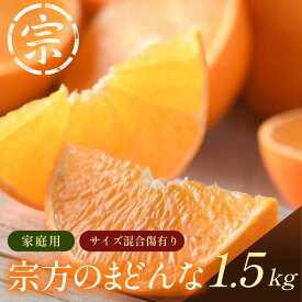 【ふるさと納税】【先行予約】宗方のまどんな（家庭用）約1.5kg【K003600K1.5】2025年11月中旬～2026年1月上旬に順次発送予定 紅まどんなと同品種 愛媛県 今治市 先行予約 今治産 まどんな マドンナ 高級みかん みかん フルーツ 甘い 柑橘 果物 愛媛みかん ふるさと納税