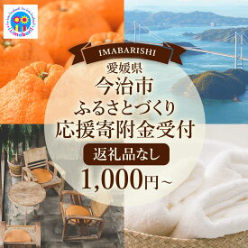 【ふるさと納税】返礼品なし　1,000円から　愛媛県今治市 愛媛ふるさと納税【Z002670】